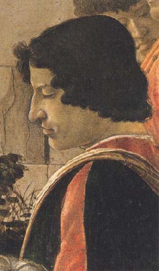 Sandro Botticelli Man in a short black tunic,standing on the right oil painting image